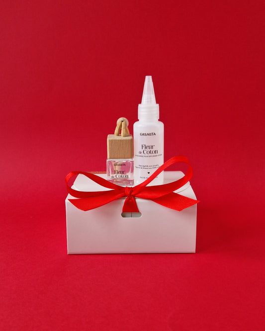 Coffret diffuseur voiture avec recharge