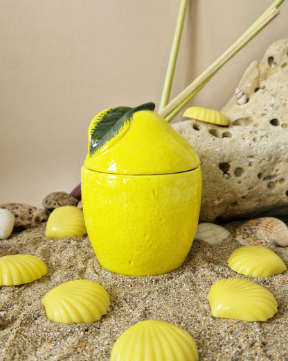 Brûle fondant LIMONA