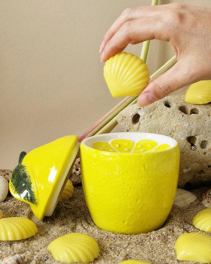 Brûle fondant LIMONA