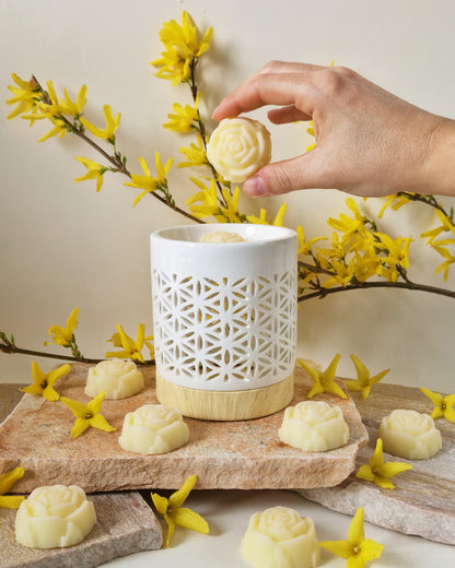 Rose fondante parfumée Jasmin Divin