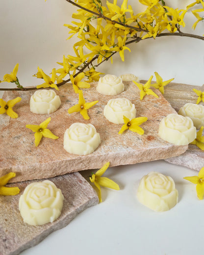 Rose fondante parfumée Jasmin Divin