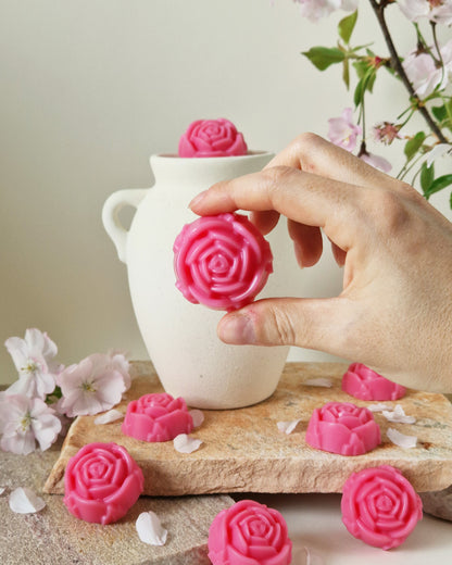 Rose fondante parfumée Cerisier en Fleur