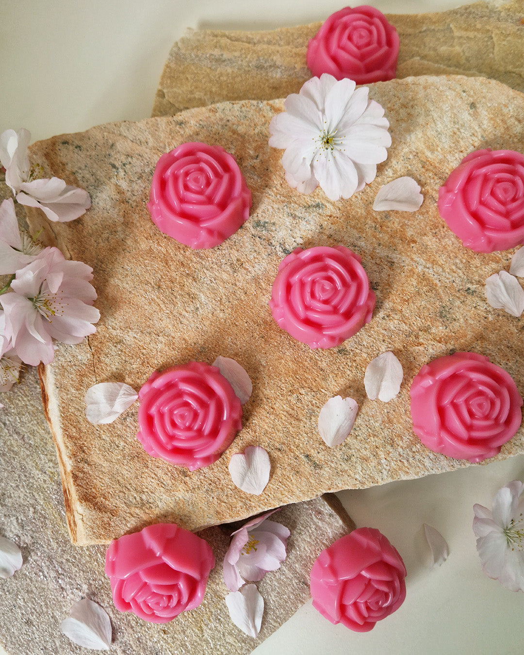 Rose fondante parfumée Cerisier en Fleur