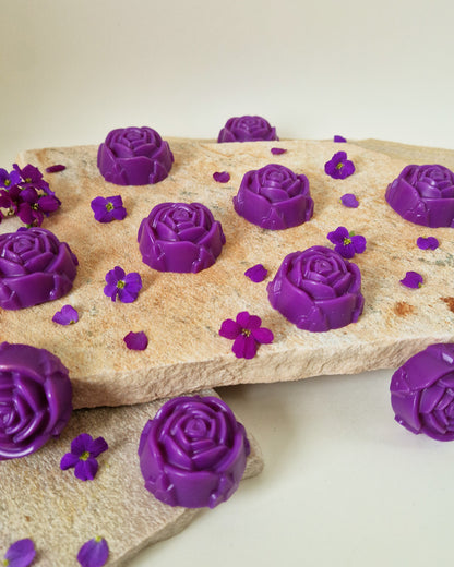 Rose fondante parfumée Sous les Lilas