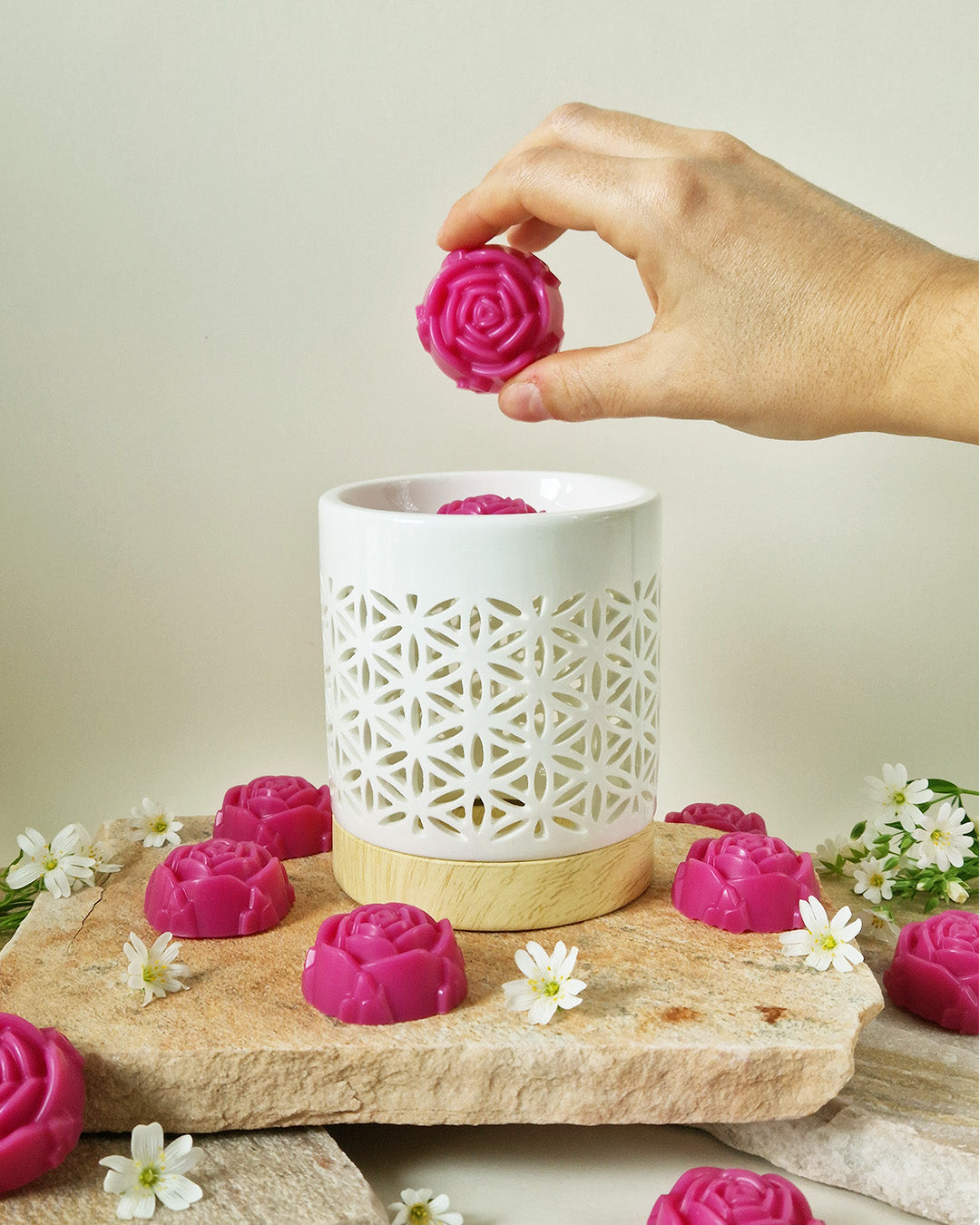 Rose fondante parfumée Pivoine Délicate