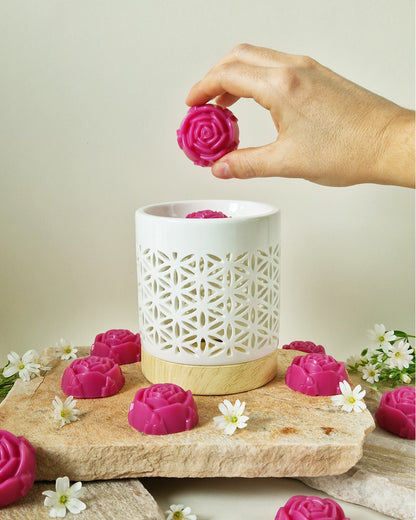 Rose fondante parfumée Pivoine Délicate